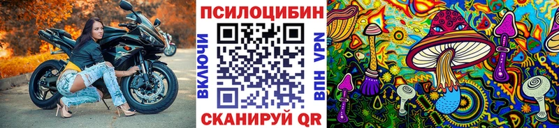где продают наркотики  Вышний Волочёк  Псилоцибиновые грибы мухоморы 