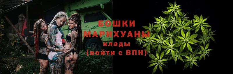 купить   Вышний Волочёк  Конопля THC 21% 